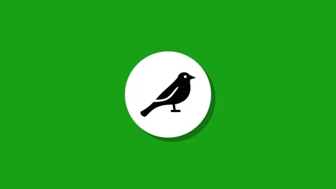Digital graphics resourse icon footage  black white green background Stock Footage 327763235