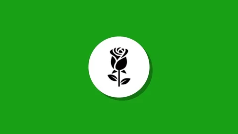 Digital graphics resourse icon footage  black white green background Stock Footage 327763236