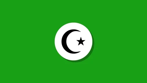 Digital graphics resourse icon footage  black white green background Stock Footage 327763300