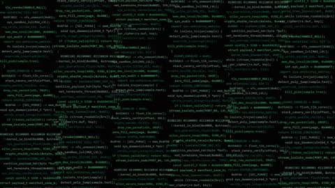 Digital green computer code scrolling on black background. 4K Stock Footage 343246377