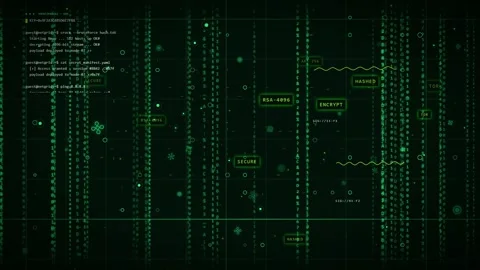 Digital Green Matrix Code Background with Scrolling Data and Cyber Security Stock Footage 346203984