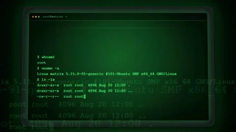 Digital hacking interface with scrolling green computer code on a dark screen Stock Footage 343167074