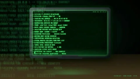 Digital hacking interface with scrolling green computer code and data Stock-Footage 343171652