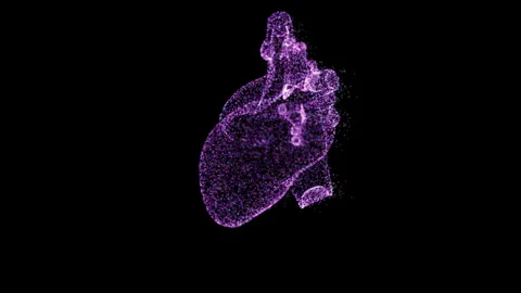 Digital Heart. Artificial Intelligence. Volumetric hologram of the heart. Stock Footage 151687730