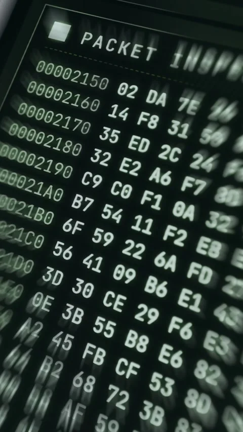 Digital hex dump displaying binary data in hexadecimal format Stock Footage 335883375