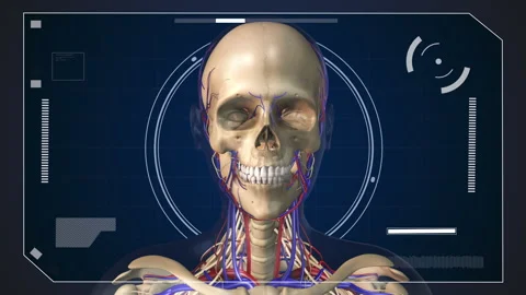 Digital HUD Element with Human Anatomy Stock Footage 287437831