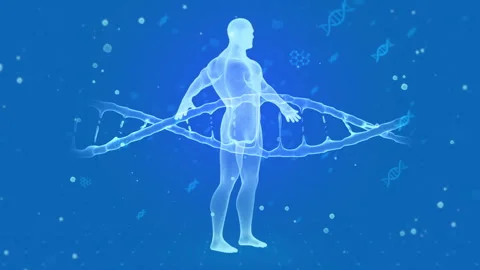 Digital Human Body and DNA Medical Research Concept Stock Footage 338437254