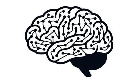 A digital human brain connected with complex network pathways Stock Illustration