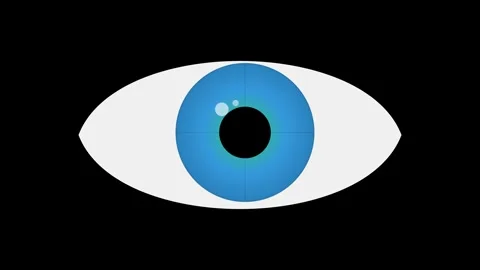 Digital Human Eye Blinking with Contracting Iris and Pupil in Blue and Gree.. Stock Footage 346612587