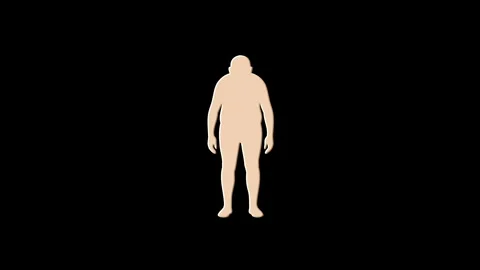 Digital human figure assembling and disassembling animation Stock Footage 329055097