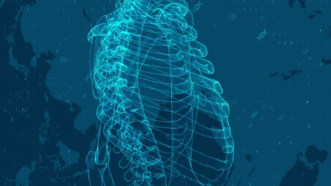 Digital Human Skeleton with Science and Technology Background Theme 库存影片 339122422