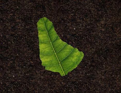 Digital illustration of a Barbados map made of a green leaf on a dirt background Stock Illustration