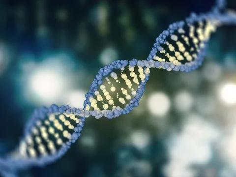 Digital illustration of a DNA model. 3D Stock Illustration