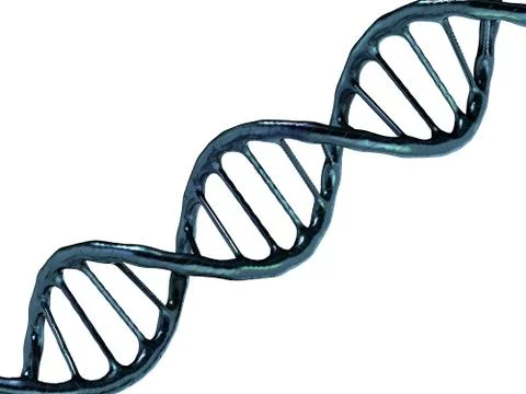 Digital illustration of a DNA model. 3D rendering Stock Illustration