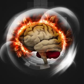 Digital illustration of human brain Stock Illustration