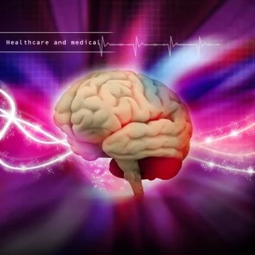 Digital illustration of human brain Stock Illustration