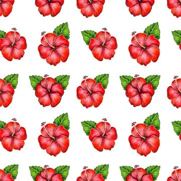 Digital illustration of seamless pattern of hibiscus flower bud on white Stock Illustration
