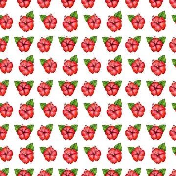 Digital illustration of seamless pattern of hibiscus flower bud on white Stock-Illustration