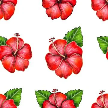 Digital illustration of seamless pattern of hibiscus flower bud on white Stock Illustration