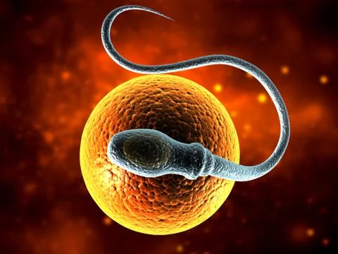 Digital illustration of sperm Stock Illustration