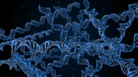 Digital illustration structure of dna molecule Stock Illustration