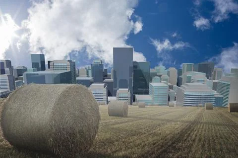 Digital image of hay bales on field with buildings Ilustración de archivo