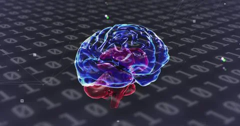 Digital image of human brain spinning against binary coding data processing on Stock Illustration
