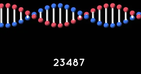 Digital image of increasing numbers over dna structure spinning against black イラスト素材