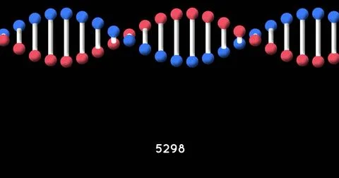 Digital image of increasing numbers over dna structure spinning against black 스톡 일러스트