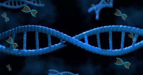 Digital image of multiple dna structure spinning against blue background イラスト素材