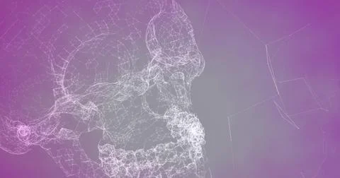 Digital image of network of connections forming a human skull against purple 스톡 일러스트