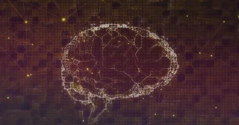 Digital image of network of connections over digital brain spinning against Stock Photos