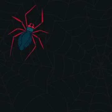 Digital image of spider on web Stock Illustration