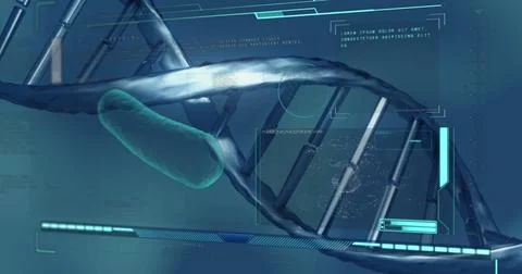 Digital interface with data processing against dna structure on blue background Illustrazione stock