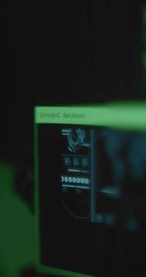 Digital interface displaying Interpol Database data Stock Footage 321755417