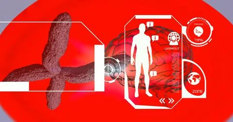 Digital interface with medical data processing over human brain against red Stock Illustration