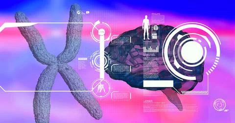 Digital interface with medical data processing over human brain against purple Illustrazione stock