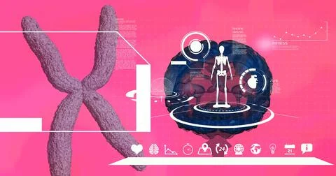 Digital interface with medical data processing over human brain against pink Stock Illustration