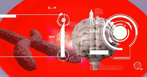 Digital interface with medical data processing over human brain against red Stock Illustration