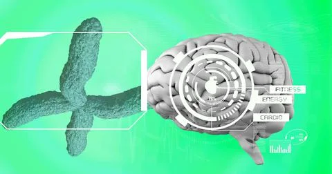 Digital interface with medical data processing over human brain against green Stock-Illustration