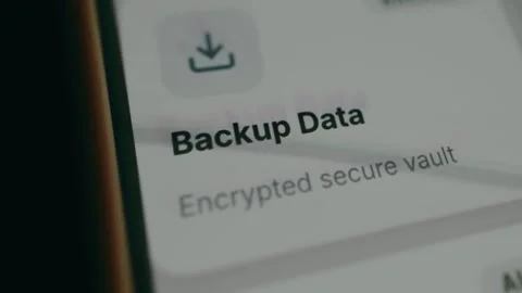 Digital interface option labeled Backup Data Stock Footage 333824669