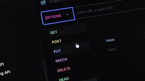 Digital interface with 'OPTIONS' dropdown showing HTTP methods GET, POST, P.. Stock Footage 318832028