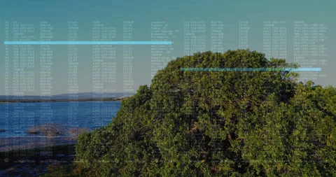 Digital interface scrolling onto marsh showing data as camera panning out Stock Footage 310643701