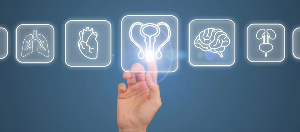 A digital interface showing a reproductive system checkup with a focus on mal Stock Photos