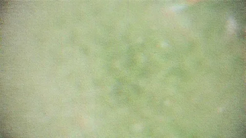 Digital Interference Distortion Overlay Stock Footage 322605577