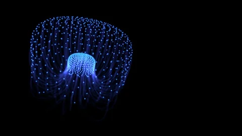 Digital jellyfish with plexus style nodes and lines Stock Footage 107186347
