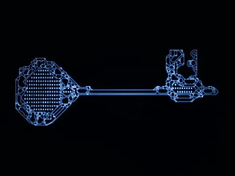 Digital Key Code Stockillustratie