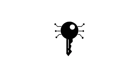 Digital Key Icon Symbolizes Modern Technology Security and Data Protection Stock Footage 327761520