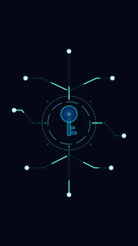 Digital key network security technology innovation data access link Stock Footage 348330886