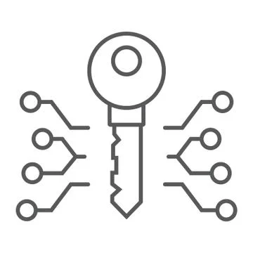 Digital key thin line icon, money and finance Stock Illustration